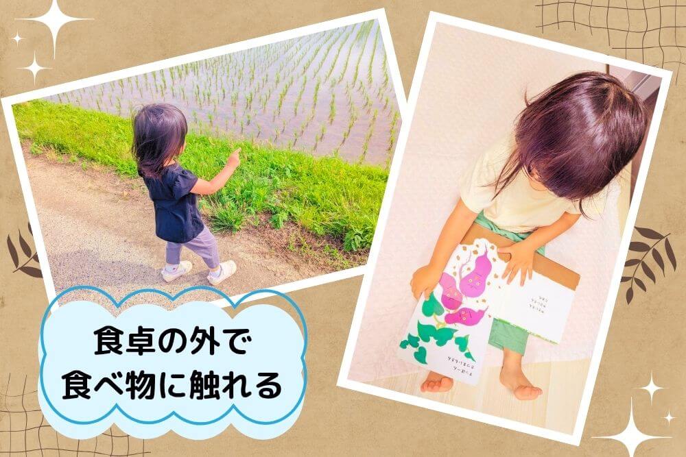 田んぼや野菜がつくられるところ・絵本を読むことで食材に触れる