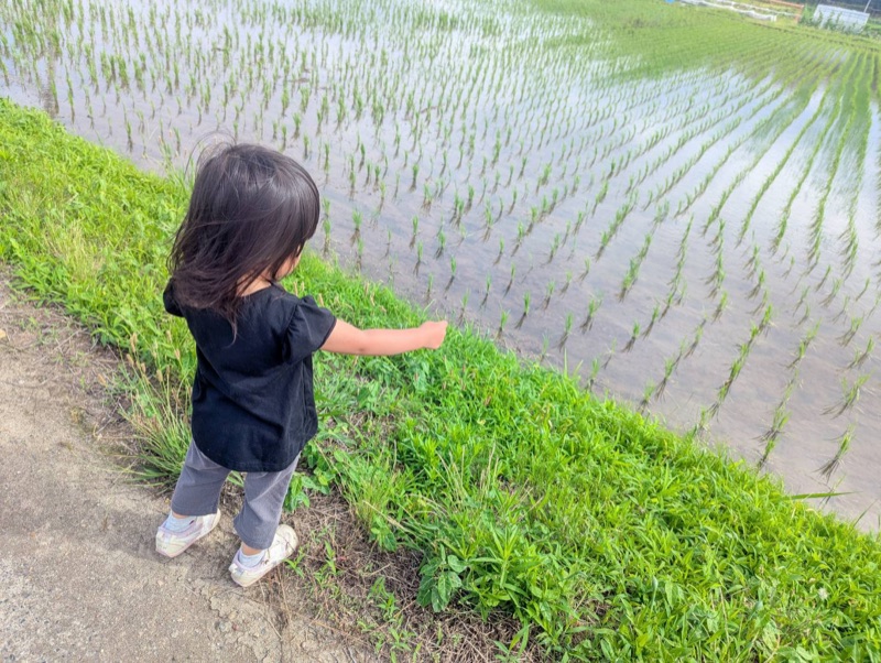 2歳の娘の後ろ姿