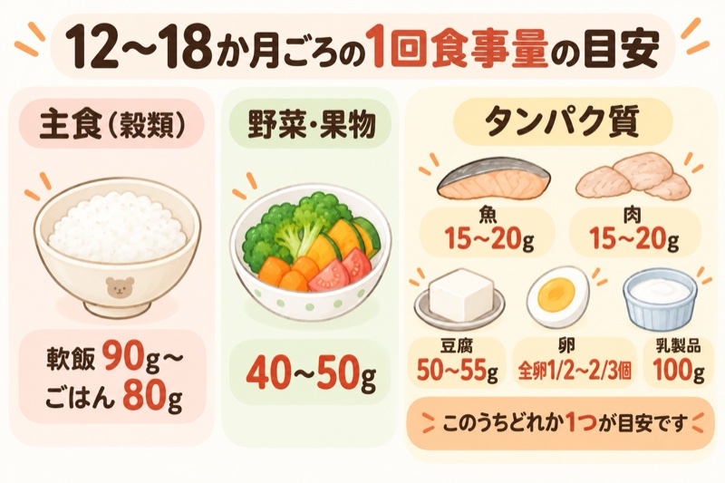 12〜18か月の１回食事量目安