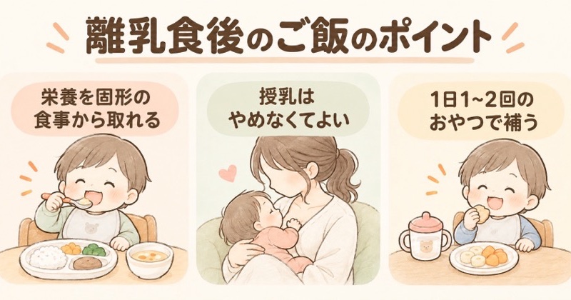 離乳食後のご飯のポイントを示した図解